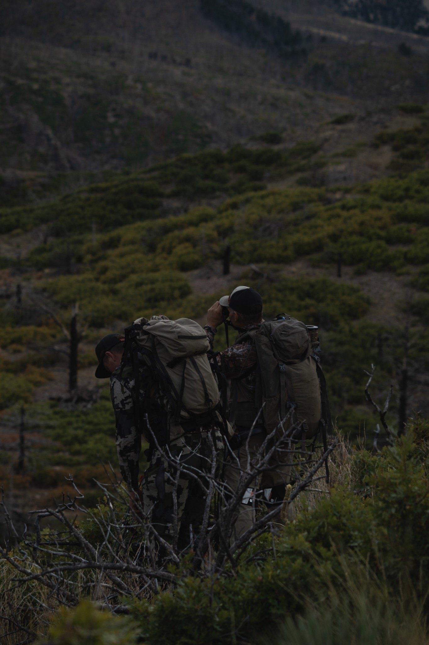 Bucky McCullar evaluating hunting land