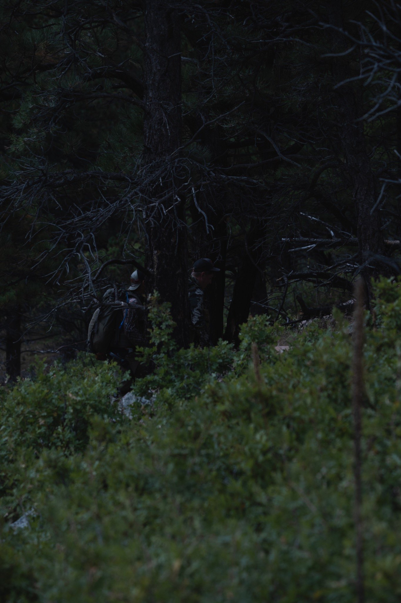 Hunters moving through forest