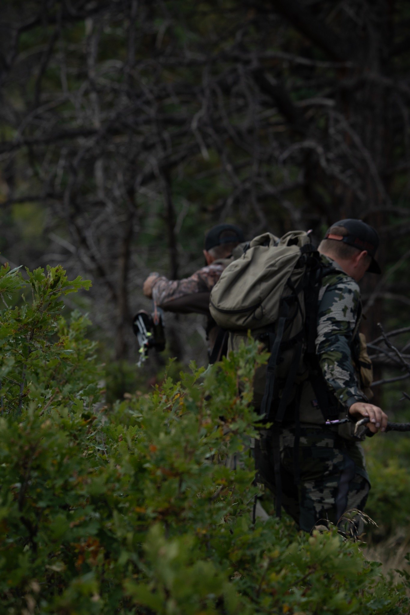 Hunters moving through timber